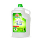 LAVAVAJILLA 4 L LIMON ECO